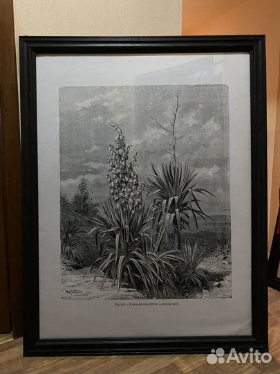 Картины Гравюры большие