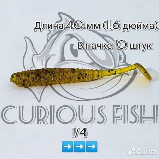 Curious Fish Aji Ringer Shad 1,6 дюйма (4см)