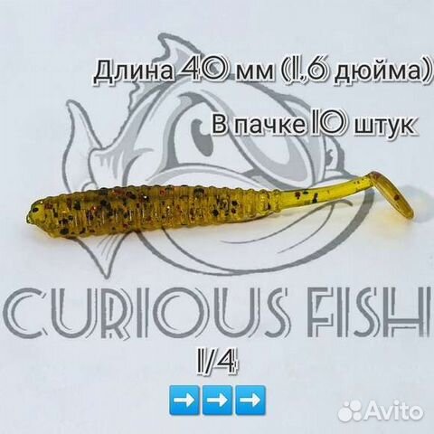 Curious Fish Aji Ringer Shad 1,6 дюйма (4см)