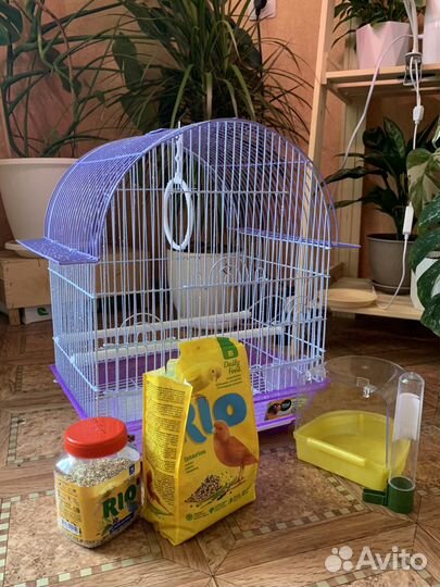 Клетка для попугая, аксессуары(возможен торг)