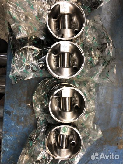 Поршни Nissan Navara