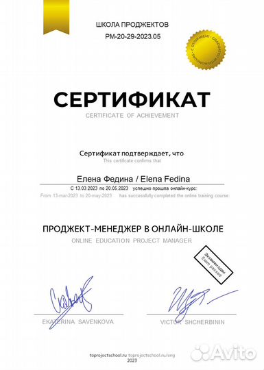 Проджект менеджер
