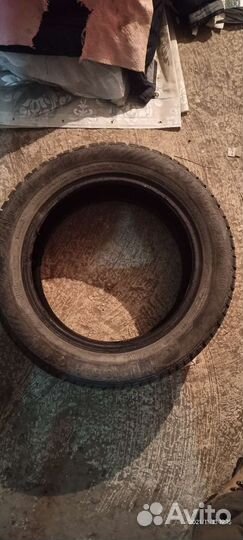 Gislaved NordFrost 100 205/55 R16