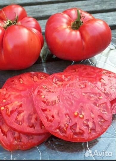 Семена редкого томата Болгарское Чудо