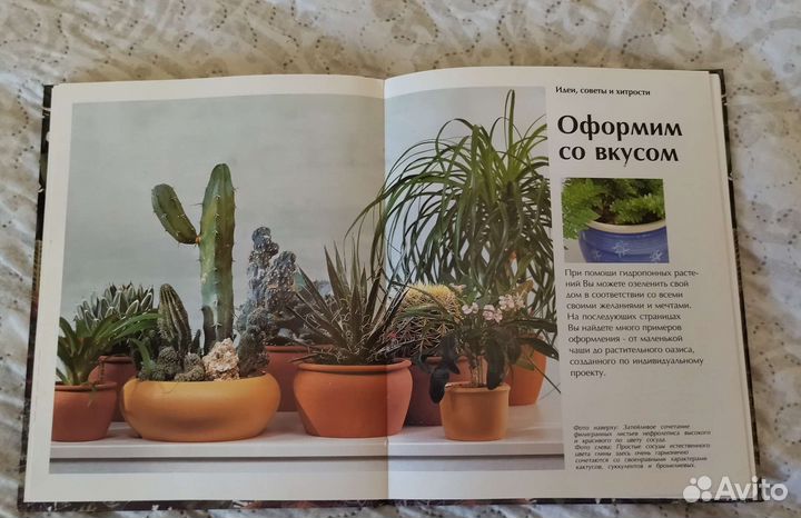 Комнатные растения книга
