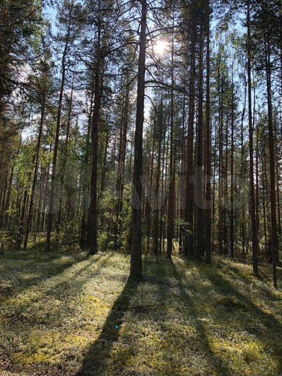 Гостиница, 5000 м²