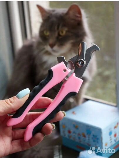 Когтерезка для кошек