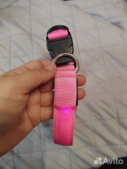 Светящийся ошейник для собак