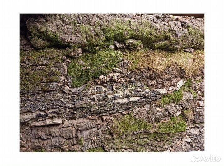 Фон для террариума из пробковой коры