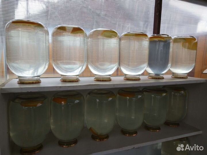 Сок березовый