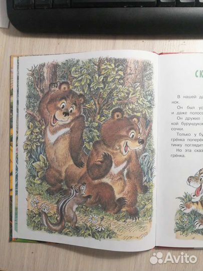 Ю. Коваль. Тигрёнок на подсолнухе