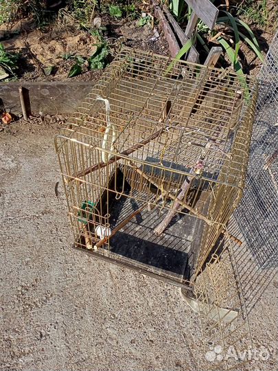 Клетки для попугая