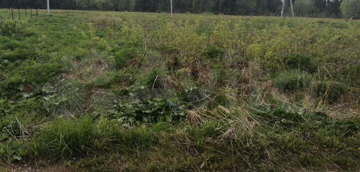 Участок 20 сот. (СНТ, ДНП)