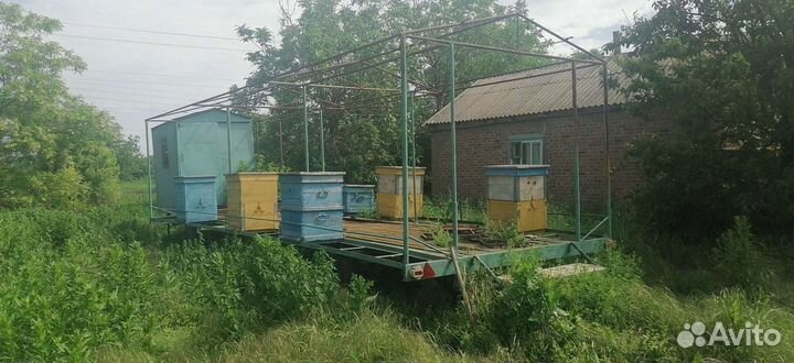 Улей для пчел