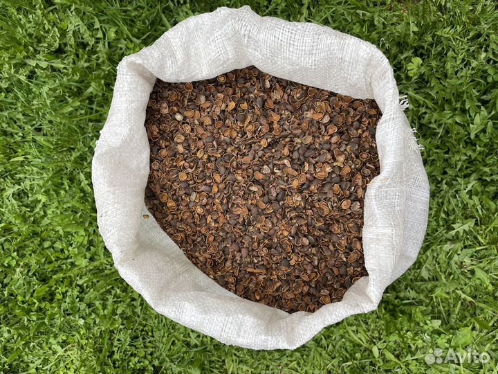 Мульча из скорлупы кедрового ореха