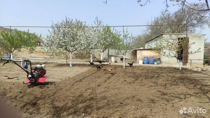 Мотоблок пахата