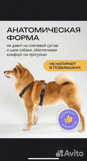 Шлейка для средней собаки