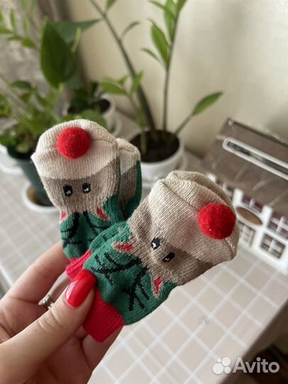 Собачьи носки