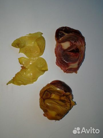 Плёнки от куринных желудков