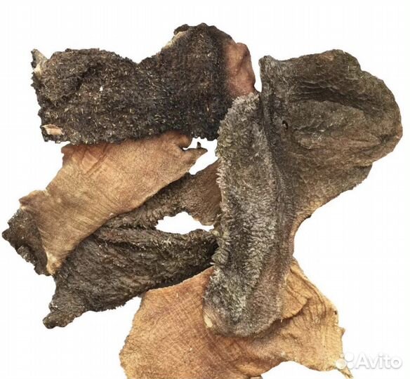 Лакомства для собак