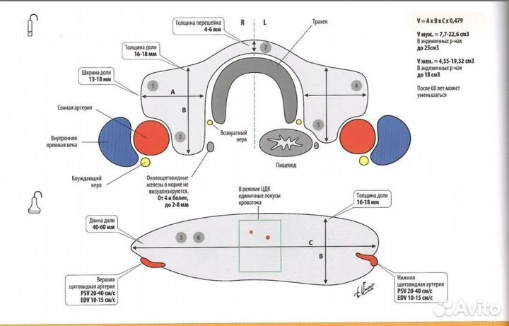Учебная медицинская литература