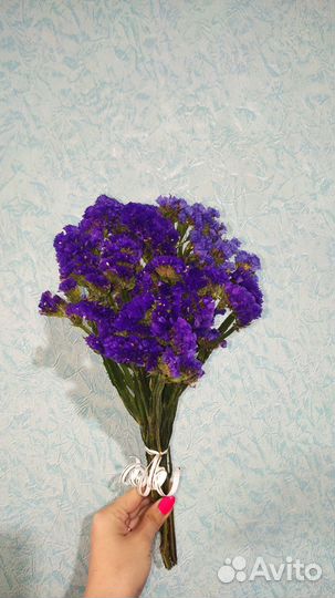 Букеты из сухоцветов