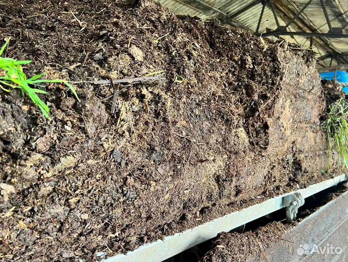 Навоз Перегной в день заказа