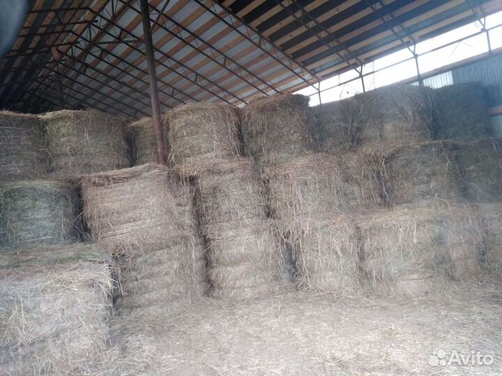 Сено в рулонах