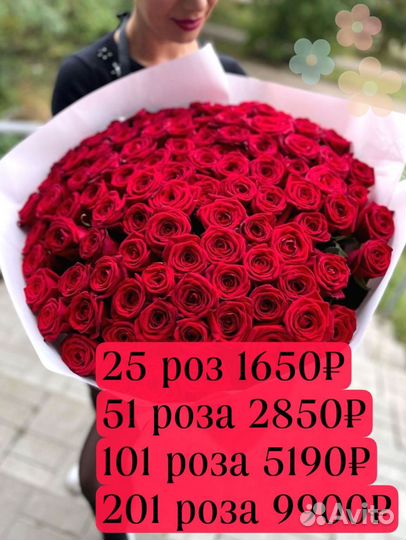 101 Роза цветы доставка 25 51 101 Розы