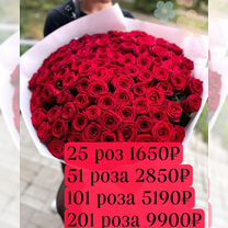 101 Роза цветы доставка 25 51 101 Розы