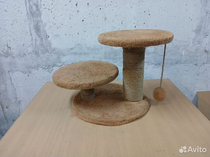 Когтеточка