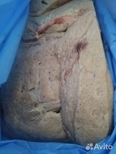 Мясо для собак
