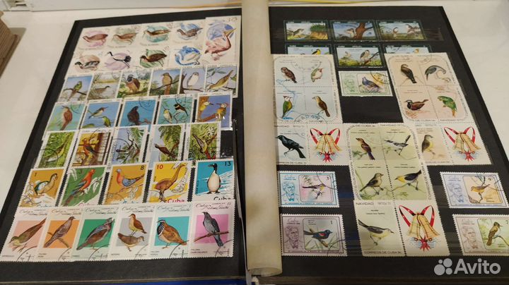 Марки птицы