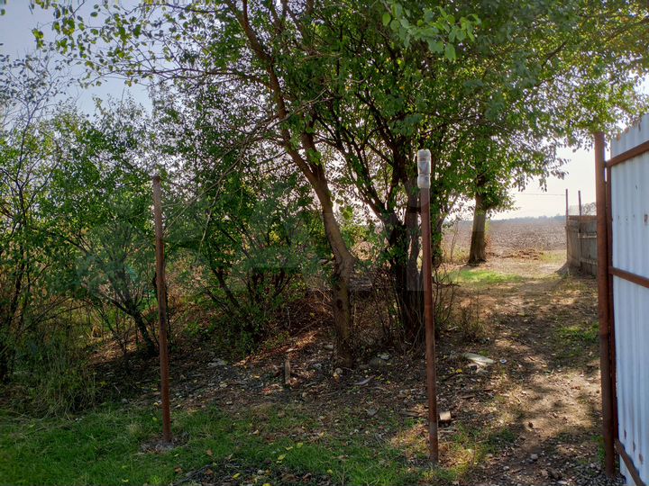 Участок 17 сот. (ИЖС)