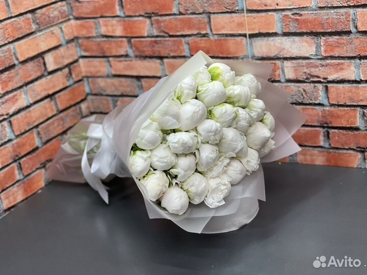 Пионы цветы