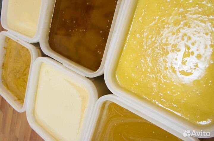 Мед натуральный алтайский опт