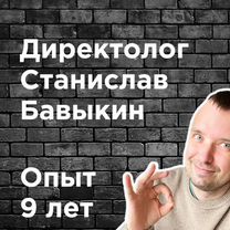 Продвижение сайтов по Екб и РФ. Директолог. SEO