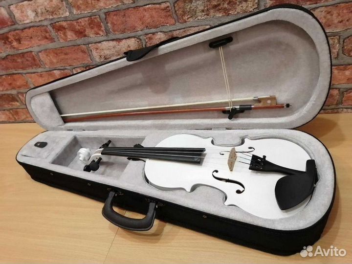 Скрипка 4/4 с кейсом