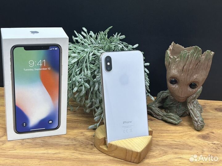 iPhone X, 64 ГБ