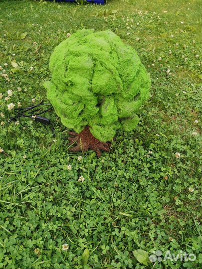 Ночник дерево