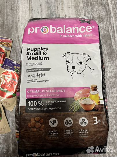 Корм для собак