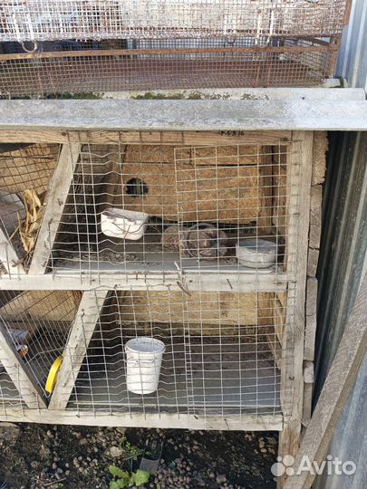 Клетка для кроликов