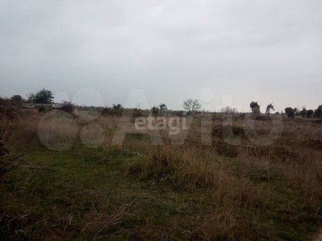 Участок 6,1 сот. (СНТ, ДНП)