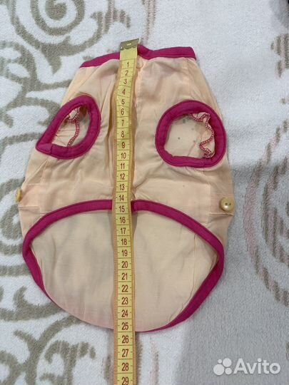 Одежда для маленьких собак