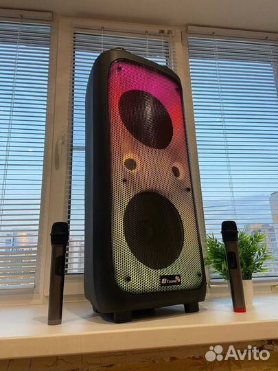 Караоке колонка Eltronic 20-62 Мощная 1000W