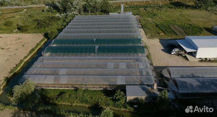 Тепличный комплекс