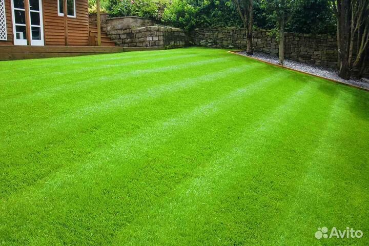 Укладка рулонного газона