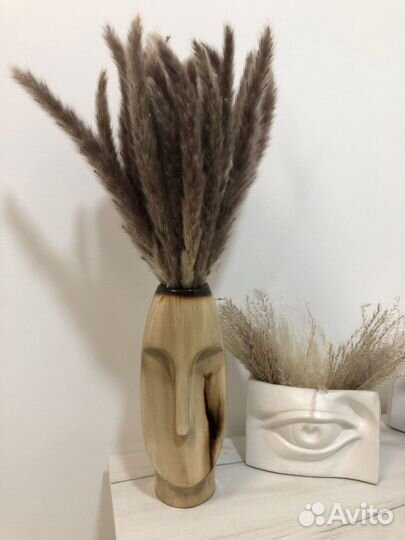 Пампасная трава