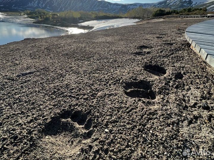 Индивидуальные экскурсии