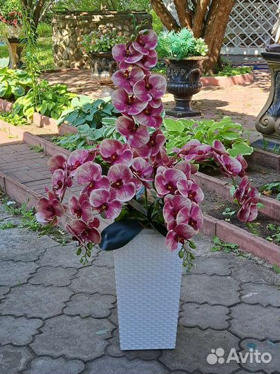 Напольные композиции с орхидеями